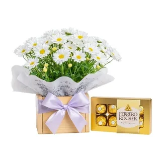Mini Margarida Branca na Caixa com Ferrero Rocher