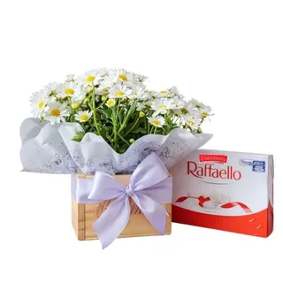 Mini Margarida na Caixa com Raffaello