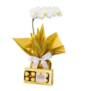 Orquídea Phalaenopsis com Ferrero Rocher 8 unidades