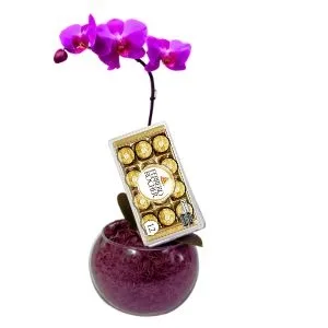 Orquídea Phalaenopsis Lilas no Vidro com Ferrero Rocher