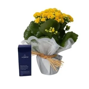 Vaso Kalanchoe Amarela e Kit Natura Homem - Sabonete
