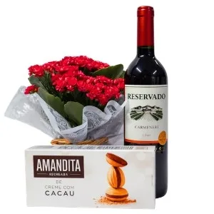 Vaso Kalanchoe Vermelha com Amandita e Vinho