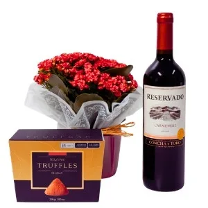 Vaso Kalanchoe Vermelha com Trufles e Vinho