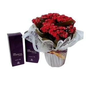 Vaso Kalanchoe Vermelha e Kit Natura Essencial - Creme e Pós Barba