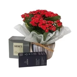 Vaso Kalanchoe Vermelha e Kit Natura Homem