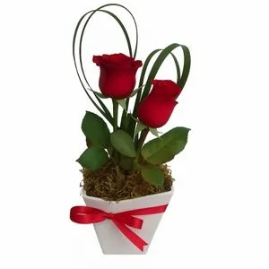 Arranjo com 2 Rosas Vermelhas