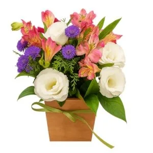 Arranjo Pequeno de Lisianthus e Astromélias