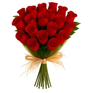 Buquê de 17 Rosas Vermelhas