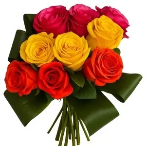 Buquê de 9 Rosas Coloridas