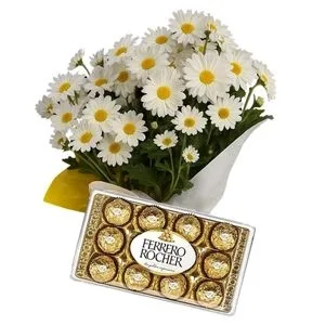 Margarida Plantada com Ferrero Rocher