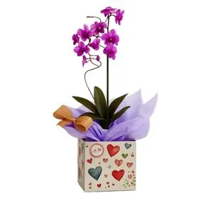 Orquídea Denphal Lilás