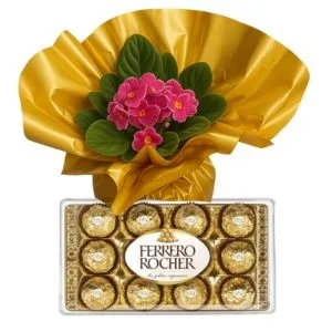 Violeta com Ferrero Rocher