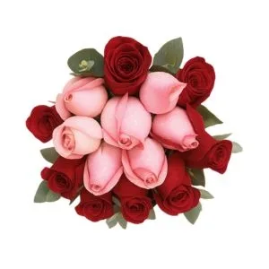 Romance em Cores