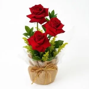 Rosas Abertas em Arranjo Especial