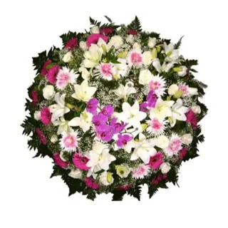 Saudosa Homenagem