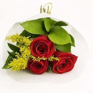 3 Rosas Vermelhas