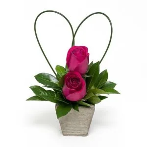 Arranjo de 2 Rosas Vermelhas no Cachepot