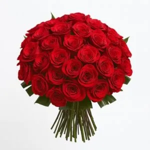 Buquê de 36 Rosas Vermelhas