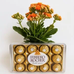 Flor da Fortuna Laranja com Ferrero Rocher