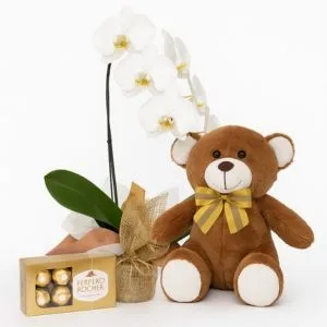 Orquídea Phalaenopsis Branca com Urso de Pelúcia e Ferrero Rocher