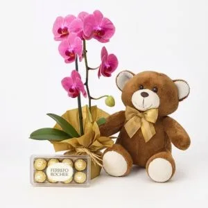 Orquídea Phalaenopsis Rosa com Ferrero Rocher e Urso de Pelúcia