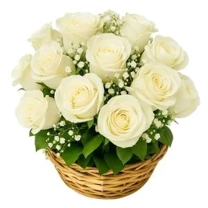 Balaio Com 12 Rosas Brancas