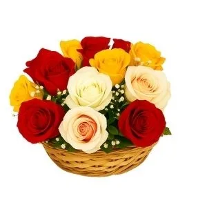 Balaio Com 12 Rosas Coloridas