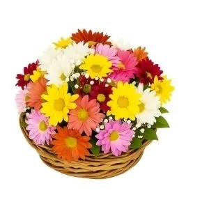 Balaio Com Flores Do Campo