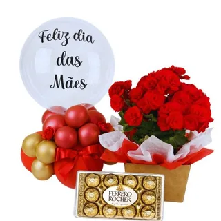 Begônia com Chocolate e Balão