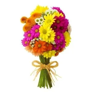 Buquês De Flores Do Campo Com Gypsophila