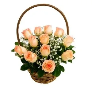 Cesta De Rosas Cor De Rosas Com Gypsophilas