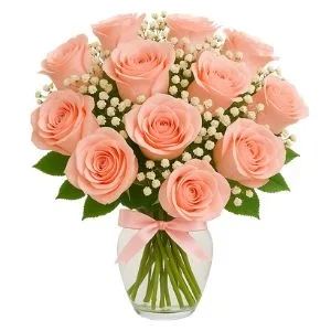 Vaso De 12 Rosas Cor De Rosa Com Gypsophilas