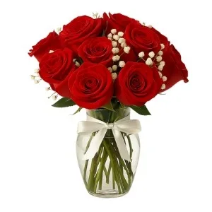 Vaso De 12 Rosas Vermelhas Com Gypsophila