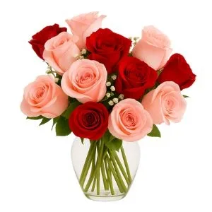 Vaso De 12 Rosas Vermelhas E Rosas Com Gypsophilas