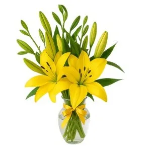 Vaso De Lírio Amarelo