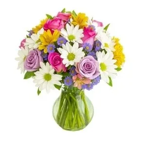 Vaso Paixões E Rosas Cor De Rosa