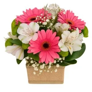Arranjo de Gérberas Rosadas e Astromélias