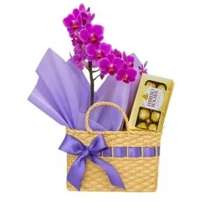 Bolsa com Orquídea Phalaenopsis Pink e Chocolate Ferrero Rocher de 8 Unidades