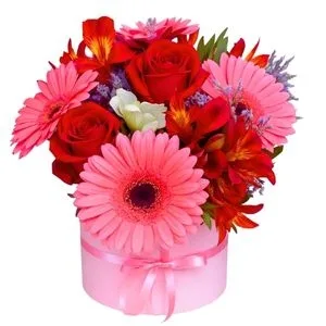 Box de Flores Rosadas e Vermelhas