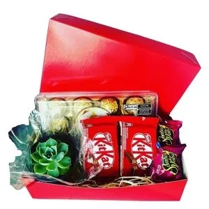 Caixa com Chocolates e Suculenta