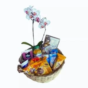 Cesta de Café da Manhã com Chocolate e Orquídea