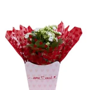 Flor da Fortuna