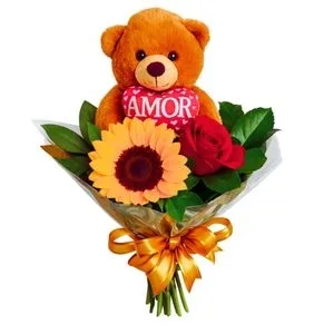 Girassol e Rosa Solitária com Pelúcia