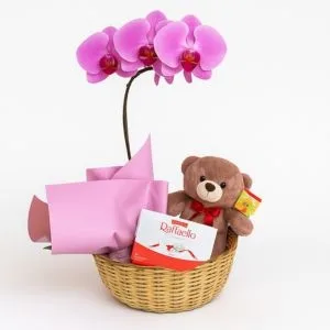 Kit de Orquídea com Pelúcia e Chocolate