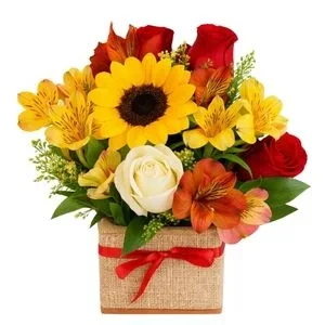 Mix de Flores no Cachepot