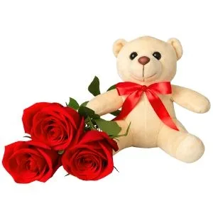 Ramalhete de Rosas Vermelha com Pelúcia