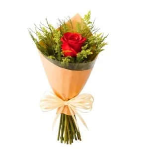 Rosa Solitária
