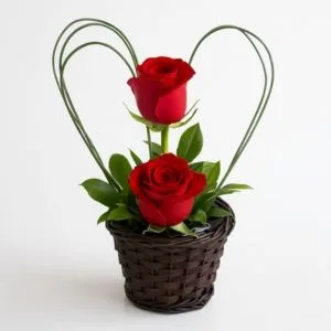 Arranjo de 2 Rosas Vermelhas no Cachepot