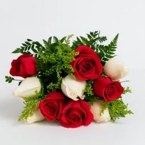 Buquê de 10 Rosas de Duas Cores