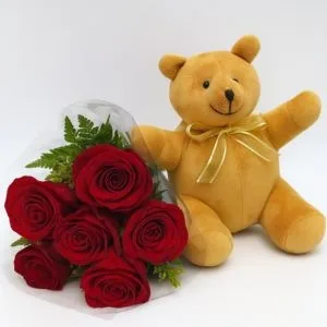 Buquê de 6 Rosas Vermelhas com Pelúcia